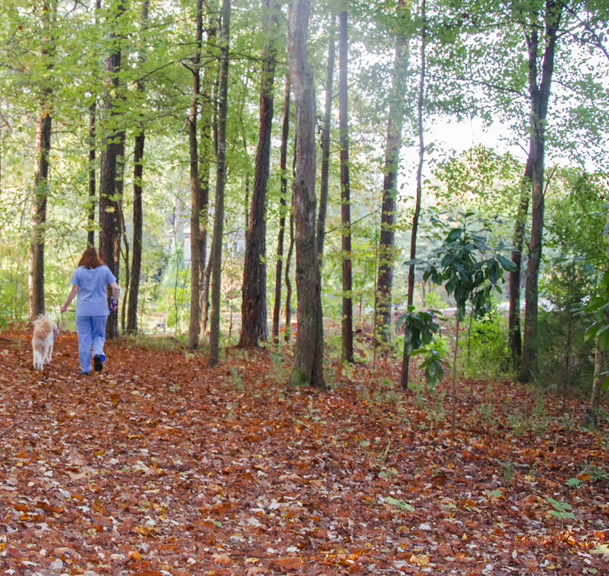 Gallery Greenwood Kennels