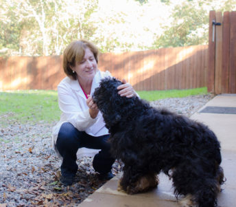 {{brizy_dc_image_alt imageSrc=